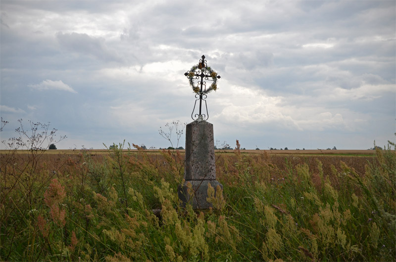 Czyże, okolice.