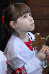 Radivoj 
КРСТ ЈЕ СИЛА И ЗНАМЕЊЕ  ,КРСТ ЈЕ СПАСЕЊЕ 
111 
2013-09-03 12:31:14