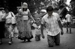 bazylia 
 
2013-09-03 19:38:01