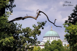 Tixy 
Храм Светог Саве, Београд 
2013-09-09 19:09:56