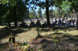 Pit_Zsak_ 
Kożany.6. 
2013-09-11 17:37:32