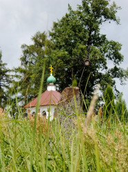 bargus 
na cmentarzu w Bockach 
2013-09-27 15:36:28