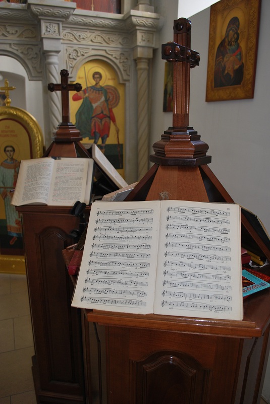 Пјевница у манастиру Лепавина