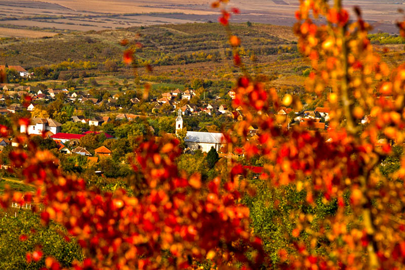 Peisaje autumnale_1