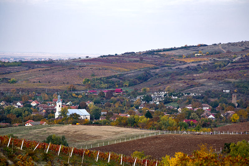 Peisaje autumnale_2