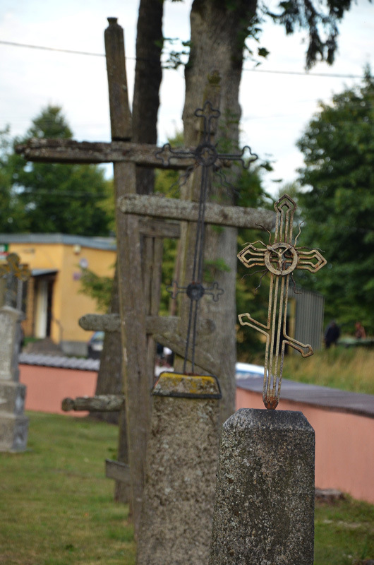Rogacze.9.