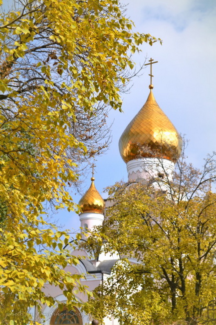 Свято-Владимирский храм