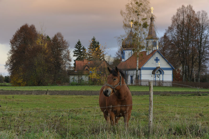 Wojnowo