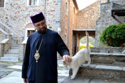 paulos 
His Grace Paisios, Bishop of Gorlice 
2013-10-05 00:18:45