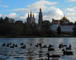 jarek1 
Sunset over Novodevichy monastery in Moscow - 3 
2013-10-07 18:06:44