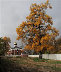 tolmargarita 
В монастыре 
99 
2013-10-11 14:54:24