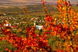 webortodox 
Peisaje autumnale_1 
2013-10-14 18:49:40