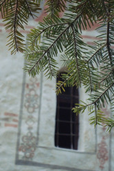 Diandra 
 
2013-10-23 19:58:29