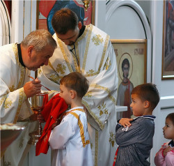 felix 
Млади причасници - Young communicants 
2013-10-30 22:31:19
