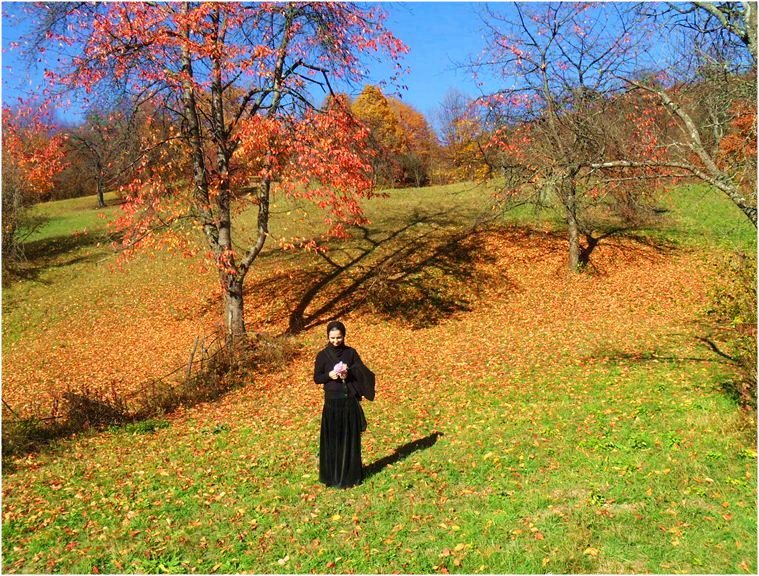 Autumn...