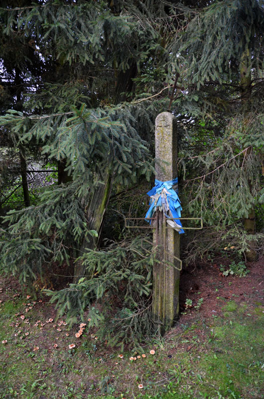 Wojszki.8.
