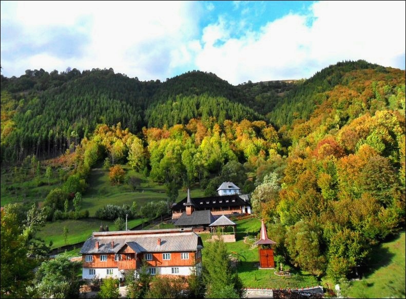 Trees in autumn colors
