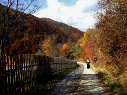 PALADA 
La Mănăstirea Sub Piatră la vremea hramului - Cuvioasa Parascheva (3) 
87 
2013-11-02 22:39:38