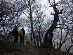 mira 
cross 
2013-11-12 00:12:13