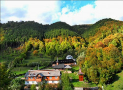 ursache 
Trees in autumn colors 
2013-11-14 21:03:51