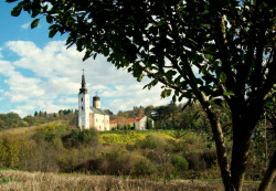 gorankul 
Манастир Шишатовац 
2013-11-16 07:30:19