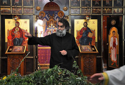 AleksaSrbin 
цвети 
2013-11-18 17:12:09