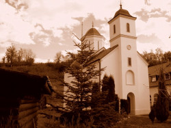 gorankul 
Петковица - фрушкогорска 
2013-11-28 19:23:30