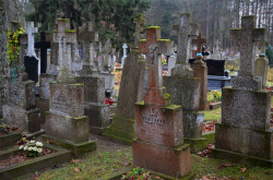Pit_Zsak_ 
Puchły. 
2013-11-29 00:44:43