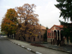 Nikolay_BG 
храм "Свети Архангел Михаил", гр. Перущица 
2013-11-30 18:38:06