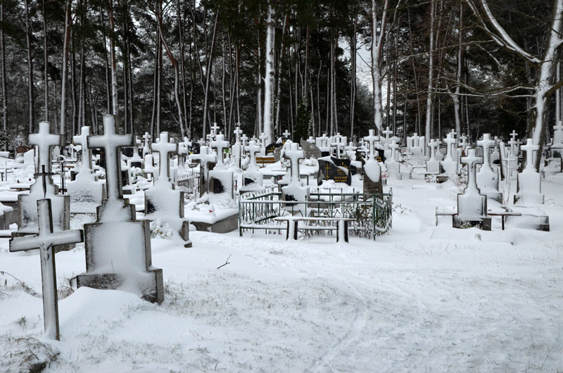 Ryboły.6.