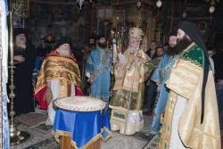 maksim 
Хиландарско жито 
78 
2013-12-03 10:19:38