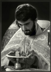 novinar 
Agnec 
2013-12-06 06:23:31