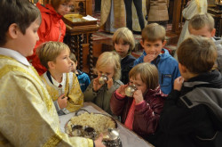Mamanik 
"Pozwólcie dzieciom przychodzić do Mnie..." (Łk.18,16) 
2013-12-06 21:07:43