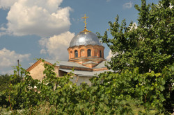 BIN63 
Покровский собор (1895-1902) 
2013-12-30 13:26:14