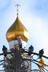 Sergey_Fandikov 
 
63 
2014-02-01 20:50:15
