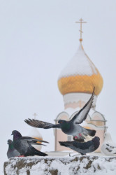 Sergey_Fandikov 
храм Святого Равноапостольного Великого князя Владимира 
2014-02-27 19:22:43