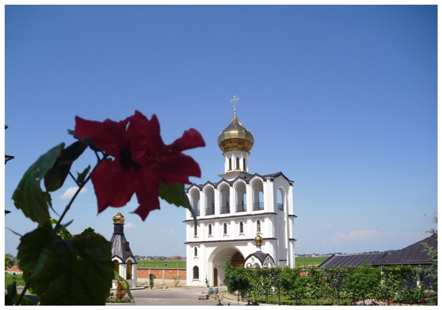 звоник..