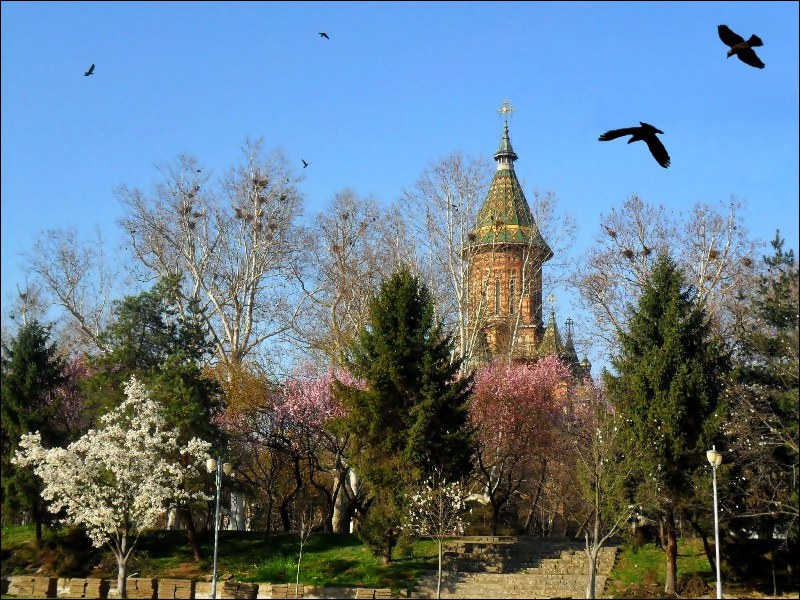 Metropolitan Cathedral of Timisoara