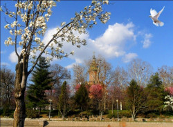 ursiy 
Metropolitan Cathedral of Timisoara 
2014-03-25 18:45:45