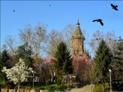 ursiy 
Metropolitan Cathedral of Timisoara 
2014-03-25 18:49:52