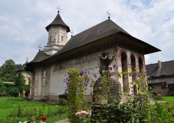 bogdan 
Mănăstirea MOLDOVIŢA -7 
2014-03-26 09:09:06
