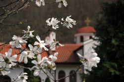 Anima_Mea 
 
2014-03-29 22:34:21