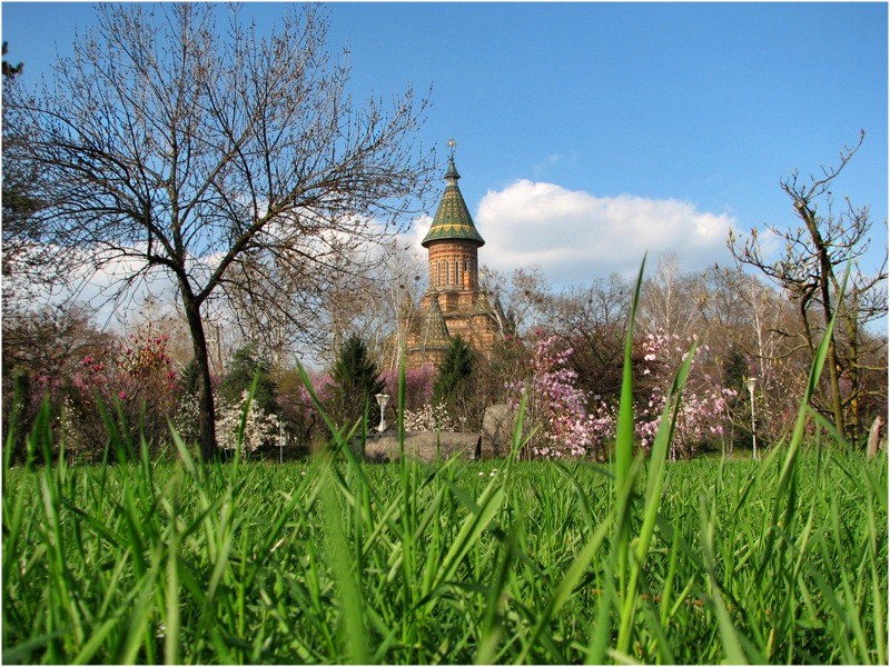 Metropolitan Cathedral of Timisoara