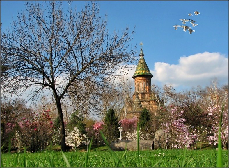 Metropolitan Cathedral of Timisoara