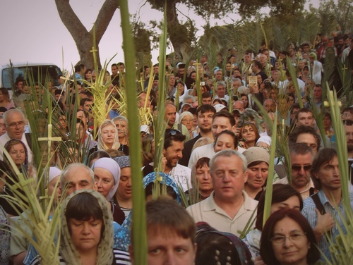 Palm Sunday