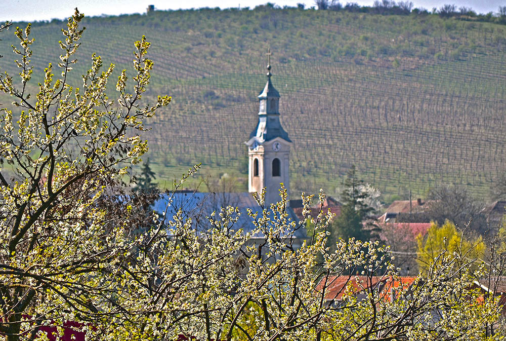Duminica Floriilor 2014