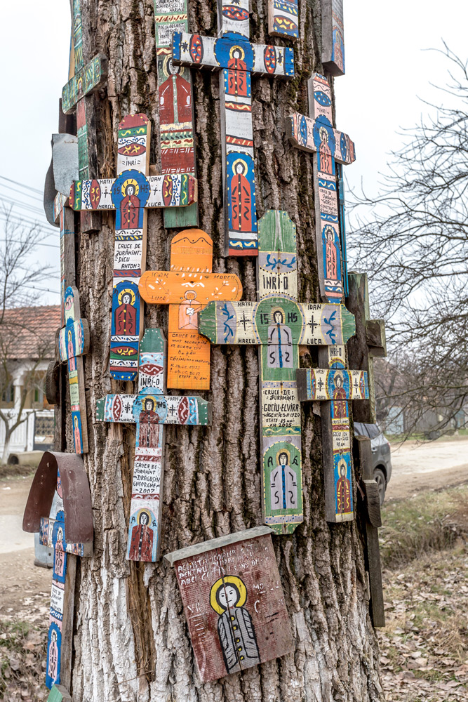 GROSEREA - GORJ 2014