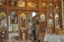 pr.ovidiu 
Răstolţu Mare - iconostas 
2014-04-01 12:31:32