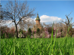 ursiy 
Metropolitan Cathedral of Timisoara 
2014-04-04 09:25:41