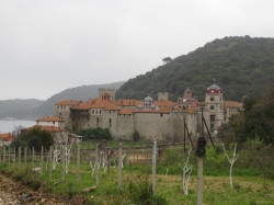 maksim 
Света Гора 5 
2014-04-08 23:47:46